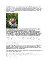 Inokulum penyakit kuning pada lahan tersebut. Apakah Penyebab Penyakit Kuning Pada Bayi