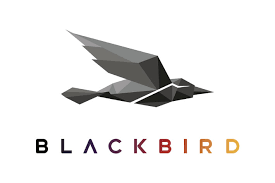 At blackbird, we believe that driving shouldn't be the only option for personal transportation. Blackbird Showcases Its Video Editing In The Cloud Solution At Nab 2020 By Jose Antunes Provideo Coalition