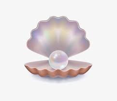 Pngkit selects 29 hd clam shell png images for free download. Pearl Download Png Image Open Clam Shell Vector 626x626 Png Download Pngkit