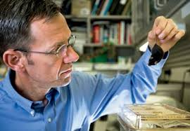 Annual Report, Mayo Clinic, Yr 2011