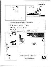 Image result for Cyphostemma gigantophyllum