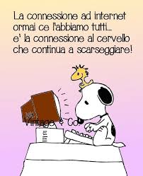 Connessione Cervello Citazioni Divertenti Citazioni Umoristiche Immagini Citazioni Divertenti