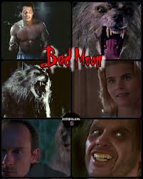 Big Bad Wolf is a 2006 American werewolf-themed horror film about Derek  Cowley, where he and his college classmates go to his stepfather's cabin to  party. It won the 2007 Silver Award