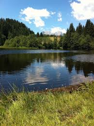 Pin Von Sassyclassy Auf Let S Travel Together Kitzbuhel Wald