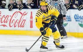 Top 10 alex ovechkin 19/20. Jewish Hockey Player Not Your Typical Children S Author The Times Of Israel
