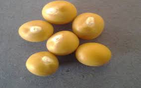 Image result for Vigna subterranea