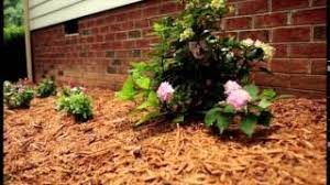 Places tulsa, oklahoma home improvementpest control service 4real pest control & professional animal trapping. Termidor Hp Injector System At 4real Pest Control Youtube