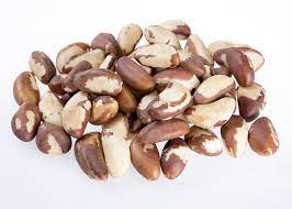 The Curious Brazil Nut And Brazil Nut Tree Quirky Science