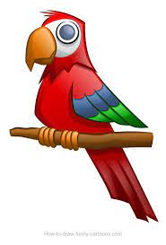 Parrot Drawing Sketching Vector Parrot Drawing Parrot Cartoon Drawings