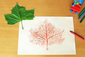 Leaf Rubbings | Kids' Crafts | Fun Craft Ideas | FirstPalette.com