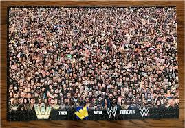 This is the place for all of your bitcoin related puzzles and scavenger hunts. I Made And Completed A Custom 1 014 Piece Puzzle Of U Ericjustin81 S Wwe Posterpedia 11 Squaredcircle