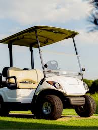 Thanks for the excellent shot, @donnieluce54! What Year And Model Is My Yamaha Golf Cart Yamaha Golf Carts Golf Carts Yamaha Golf Cart Accessories