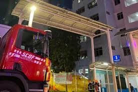 The business's principal activity is art and graphic design services with interior design services as the secondary activity. Suspected Drug Using Couple In Bukit Merah Arrested After Bickering Loudly At Their Window
