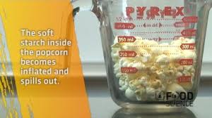 Food science science fair projects and experiments. Food Science Experiments What Makes Popcorn Pop
