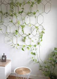 Maybe you would like to learn more about one of these? Indoor Climbing And Trailing Plants That Are Easy To Care For My Tasteful Space