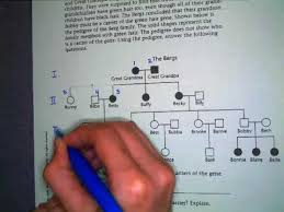 Fill out the blanks of the pedigree below aa aa aa aa x aa aa. Pedigree Instructions Youtube