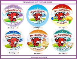 Laughing Cow Cheese Triangles Slimming World Syn Values Slimming World Syns Slimming World Menu Slimming World Tips