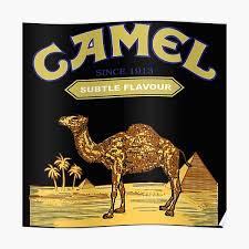 Cigarette trademarks have various derivatives. Camel Cigarettes Posters Redbubble