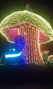 Disney Electric Light Parade Disney Electrical Parade Disney Parade Disney Garden