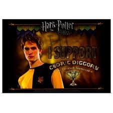 Harry potter and the goblet of fire (2005) posters. Harry Potter And The Goblet Of Fire 2005 Poster Print Overstock 24130055