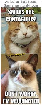 Maybe you would like to learn more about one of these? I M Vaccinated Grumpy Cat Sanitaryum Clean Humor Clean Funny Pics Vids Gifs
