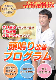 頭鳴り・頭鳴 - 健美整骨院・整体院 流山おおたかの森店