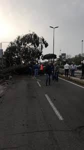 Whirlpool, delegazione da napoli per solidarietà agli operai della meridbulloni. Maltempo Albero Crolla Su Macchina Due Feriti A Napoli Nel Quartiere Di Pianura