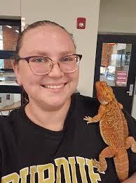 Red and orange bearded dragons in photos