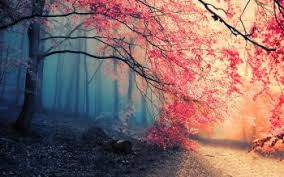 We did not find results for: 14500 Nature Hd Wallpapers Background Images