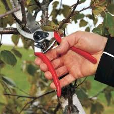 Maybe you would like to learn more about one of these? Okatsune Secateurs 103 Harrod Horticultural