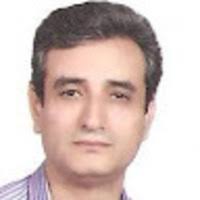 Ginger (Zingiber officinale) and turmeric (Curcuma longa L.)  supplementation effects