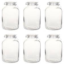 Husk på dette lille trikset. Kob Vidaxl Syltetoyglass Med Lokk 6 Stk 5 L