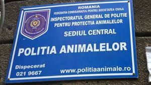 Intra pe olx.ro si vezi ultimele oferte de locuri de munca! Mai Face AngajÄƒri La PoliÅ£ia Animalelor Sute De Posturi Prin Incadrare DirectÄƒ Din SursÄƒ ExternÄƒ Newsbv
