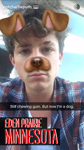 Riri On Twitter Dog Filter Charlie Is My Favourite Charlie Https T Co 2f9u1hitcx Twitter