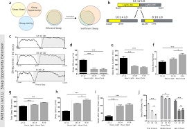 Image result for Sleep Restriction Therapy