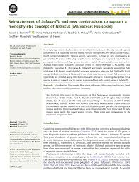 Image result for Hibiscus nigricaulis