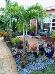 Maybe you would like to learn more about one of these? Gardening In South Florida Bromeliads In The Garden Tropical Backyard Landscaping Backyard Landscaping Designs Tropical Backyard
