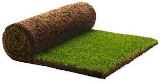 How To Grow Grass Without Seeds Lawn Dethatcher Reviews Lawn Turf Top Soil Dethatching Lawn