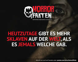 Horror Fakten On Fakten Horror Und Witzige Spruche