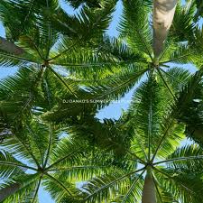 Summer Hits”/ Krijuar nga DeeJay-t e TAR, të dedikuara ekskluzivisht për  ju! |