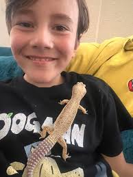 my fave lil hoggie at work. so tempted to take him home but I've already  got 8 leopard geckos, a Crestie and a Uromastyx🤔