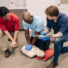 You can obtain your cpr certification online or via a national institute such as the american heart. Instructor Certification Training Courses Red Cross