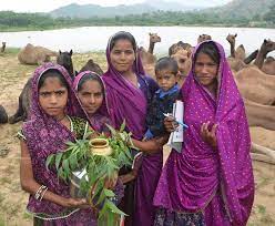 The animals and their handlers, known as afghan cameleers. Camel Milk Cheese White Gold From The Thar Desert Food Entrepreneurs Alliance