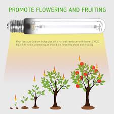 1.1.3 apollo horticulture glk400ls24 400 watt. 600w Hps By Vivosun Grow Lamp Lighting Information Growdiaries