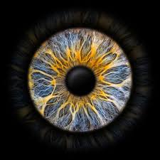 Eyepixx Iris-Fotografie | Das Kunstwerk aus deinem Auge