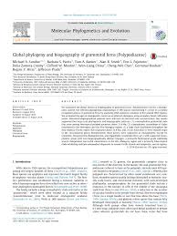 Image result for Grammitis cryptophlebia