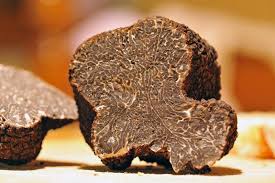 Truffles Black Truffles Tuber Melanosporum On A Table Ad Truffles Black Truffles Table Melanosporum Ad Truffles Black Truffle Tubers