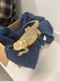 Let's welcome our new members! Caitlin Neidecker, Devan Swanson, Ashley  Enghauser, Sydney Flohrs, Matt Berthiaume, Lacey Embacher, Kelly Renee,  Shannon Louis, Asia Marie, Kristie LaPenotiere, Stephanie Enderle, Donasia  Bell, Hope Whitaker, Karen