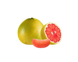 Image result for Citrus maxima