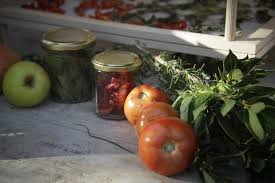 Principes Et Conseils Pour Deshydrater Les Legumes Preparation Choisir Des Legumes Frais Et Croquants Car Deshydrater Desydrateur Legumes Deshydrateur
